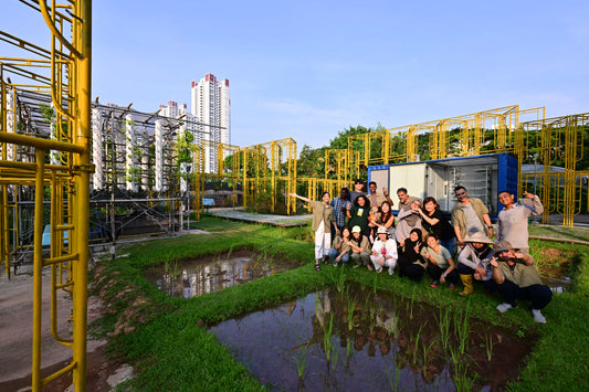 The City Sprouts team posing for a photo over our rice paddy on our urban farm in Henderson.