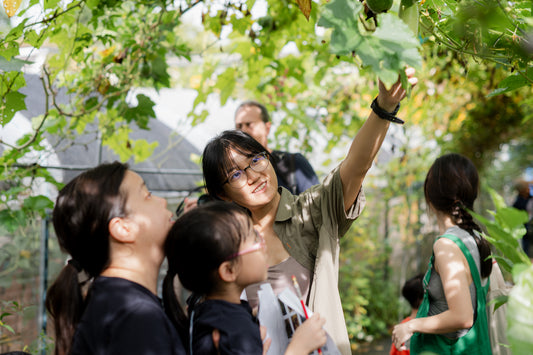 Things To Do This Weekend: Free & Sustainable Edition!