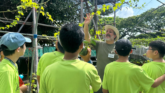 Secondary school students learning about plants from a guide while on a City Sprouts farm tour.