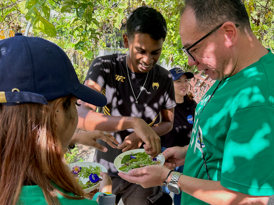 Our programmes team leading a farm tour for a corporate bonding programme. People are looking at freshly harvested produce from the City Sprouts farm.