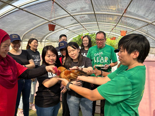 Sustainable Corporate Team Bonding Activity