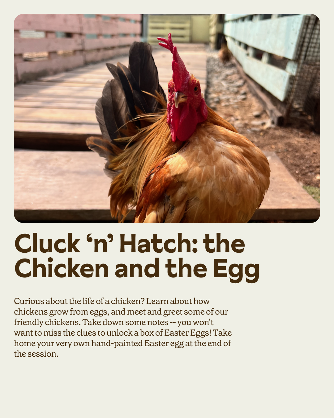 Farmers' Market: Easter Egg-stravaganza Edition