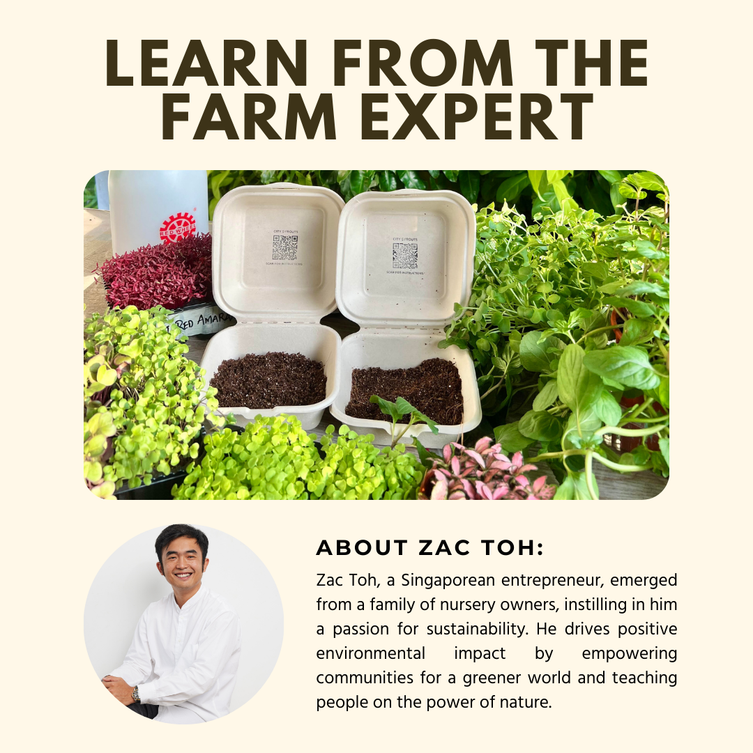 Herbs Pharmacy; Build your own Herb Garden! By Zac Toh