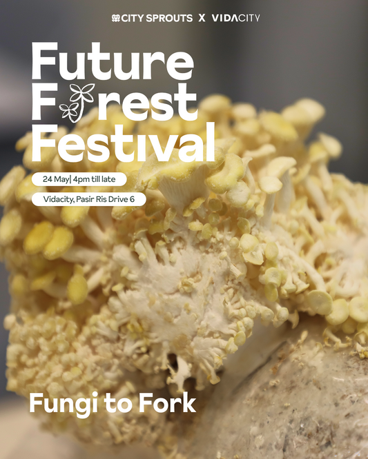 Future Forest Festival: Fungi to Fork