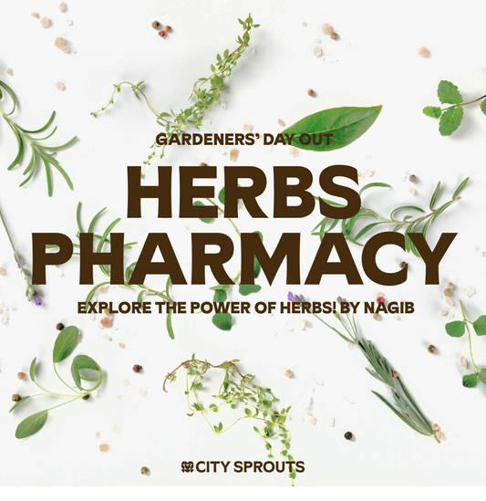 Herbs Pharmacy: Build Your Own Herb Garden!