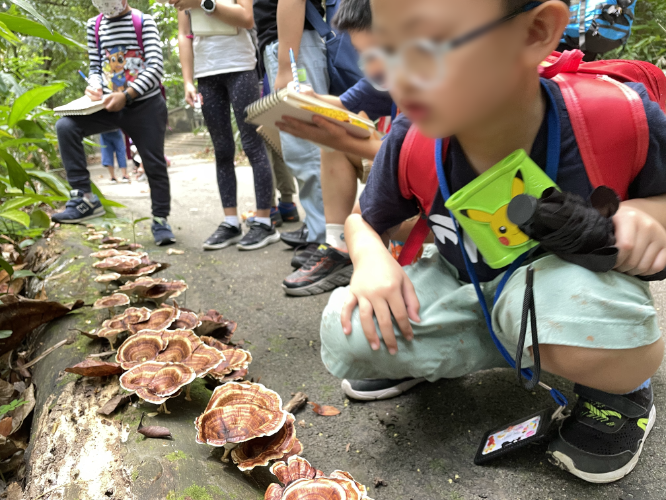 Kids June Holiday Camps