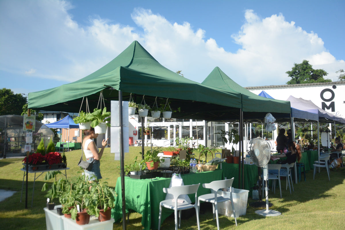 Weekday Venue Hire: Lawn Only