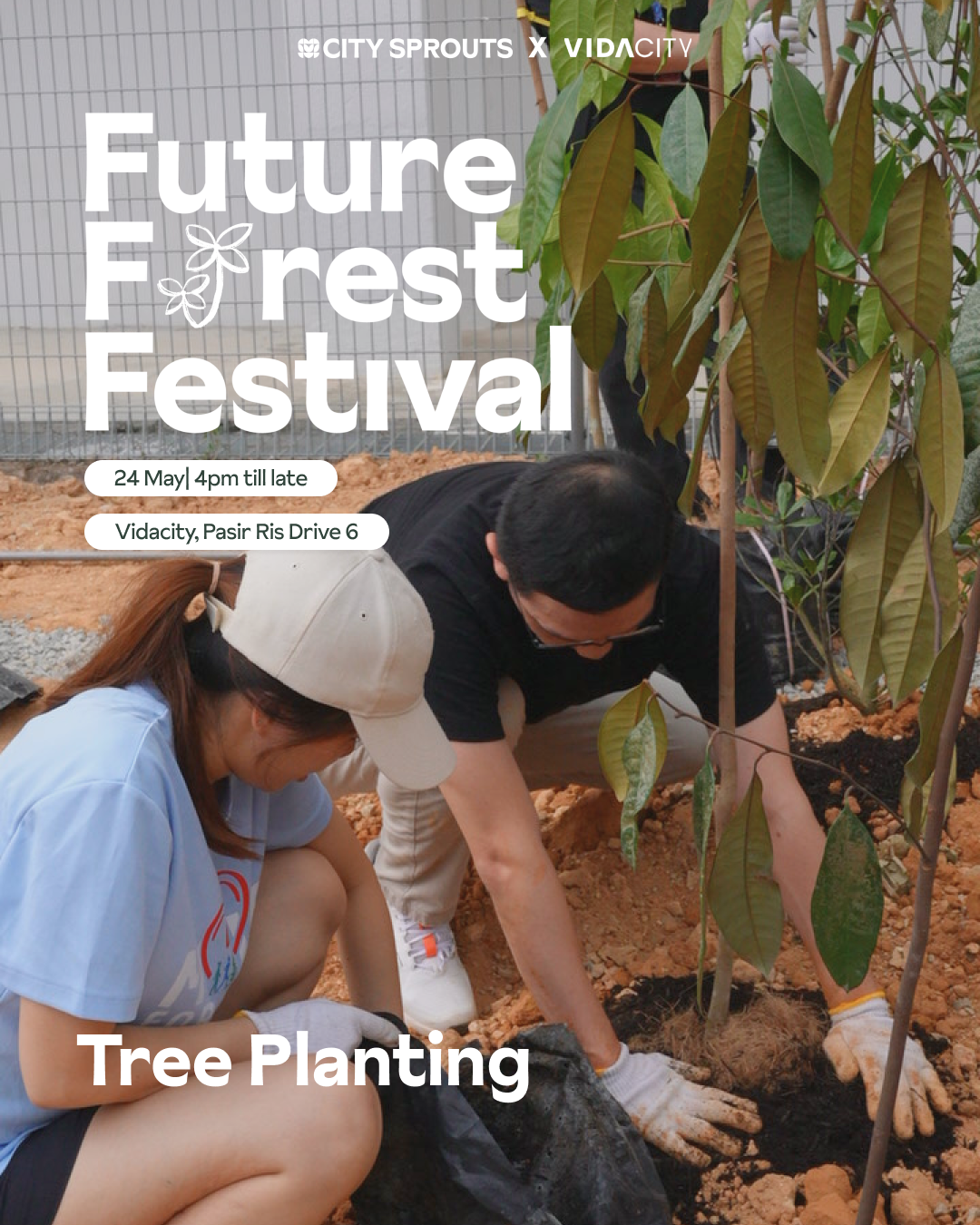 Future Forest Festival: Tree Planting