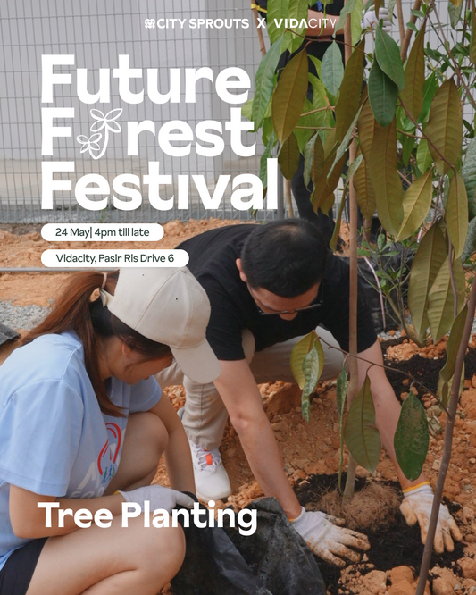 Future Forest Festival: Tree Planting