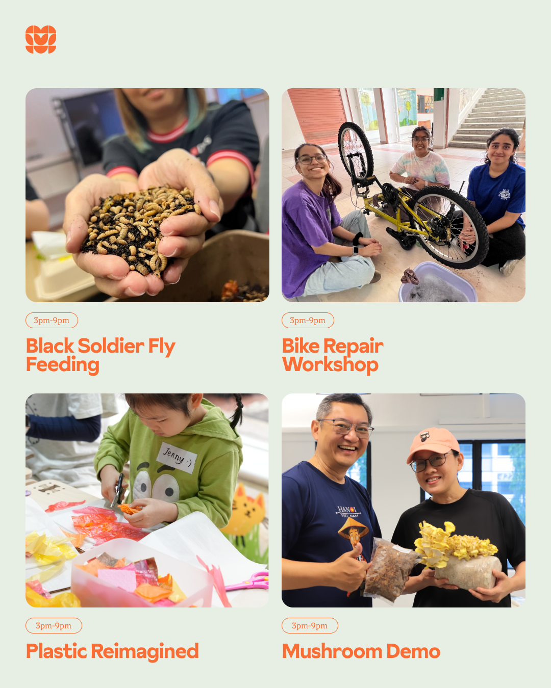 Future Forest Festival: Seeds of Tomorrow