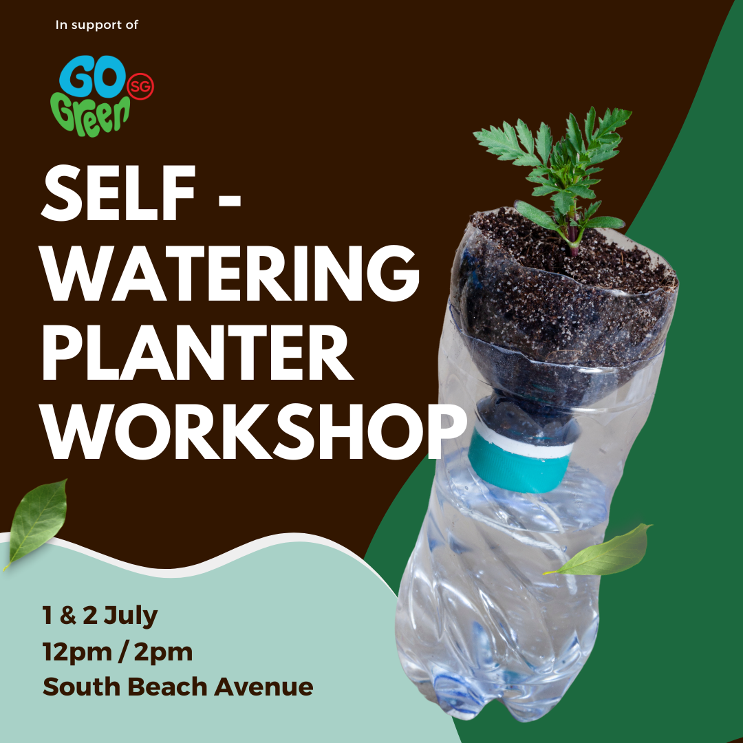 plastic bottle self watering planter Self Watering Planter Workshop – citysprouts