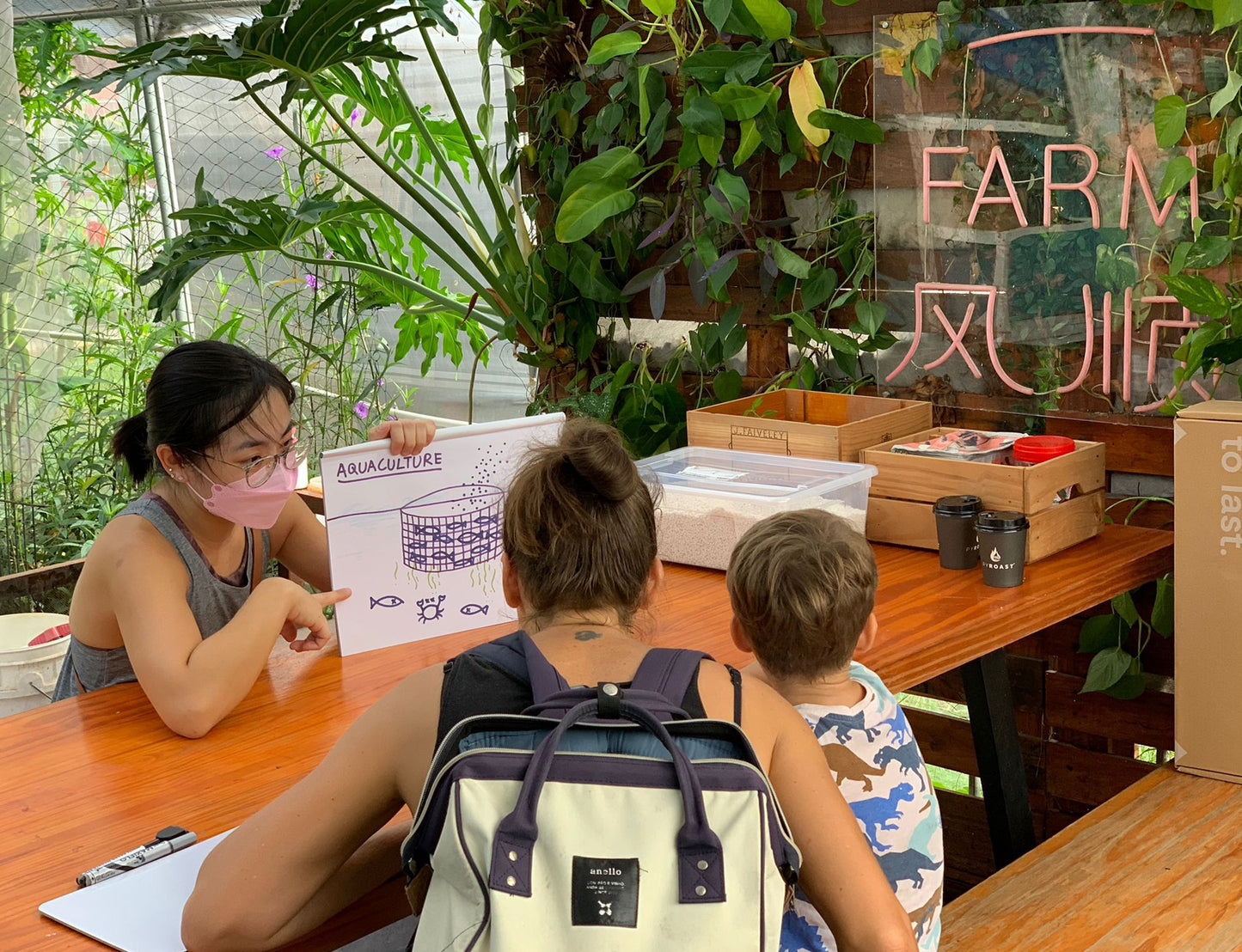 Alternative Farming - An aquaponics & hydroponics workshop