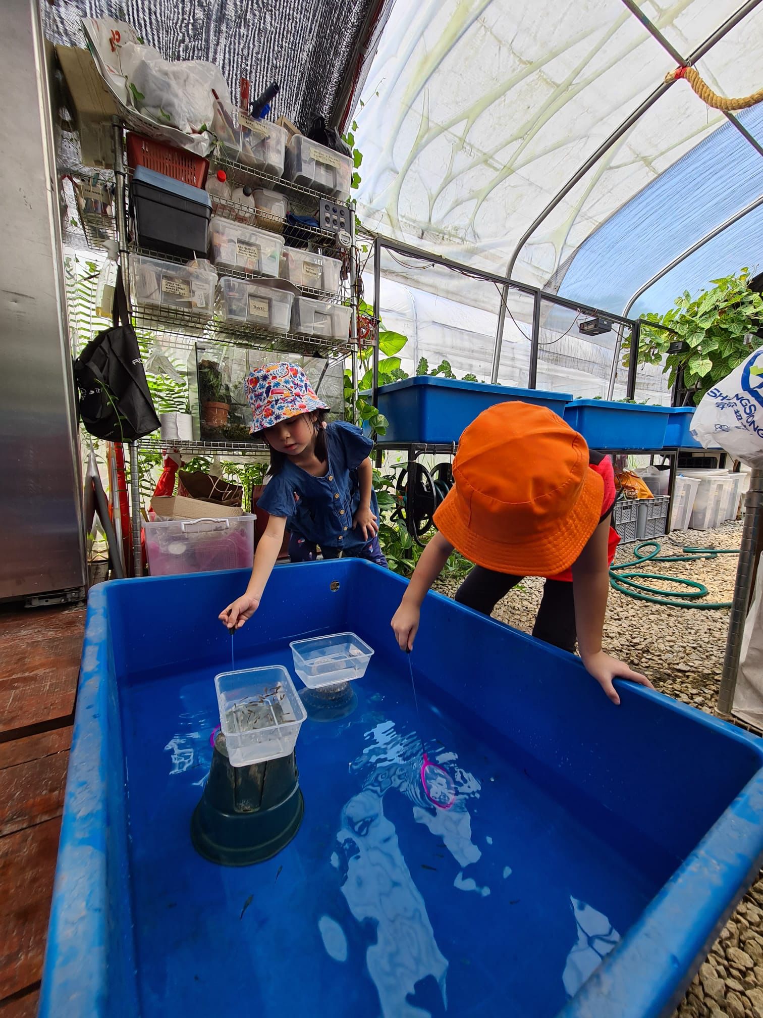 Longkang Fishing at City Sprouts