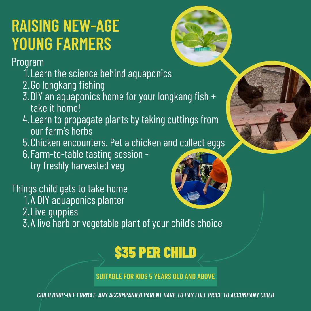 Aquaponic Farming Workshop for Kids