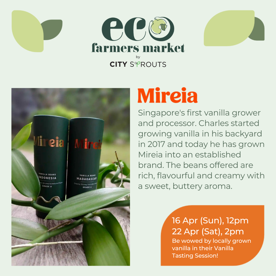 TANGS Eco Farmers Market