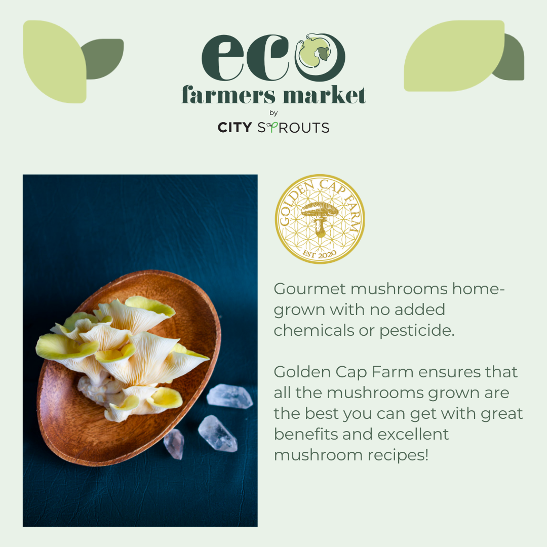 TANGS Eco Farmers Market
