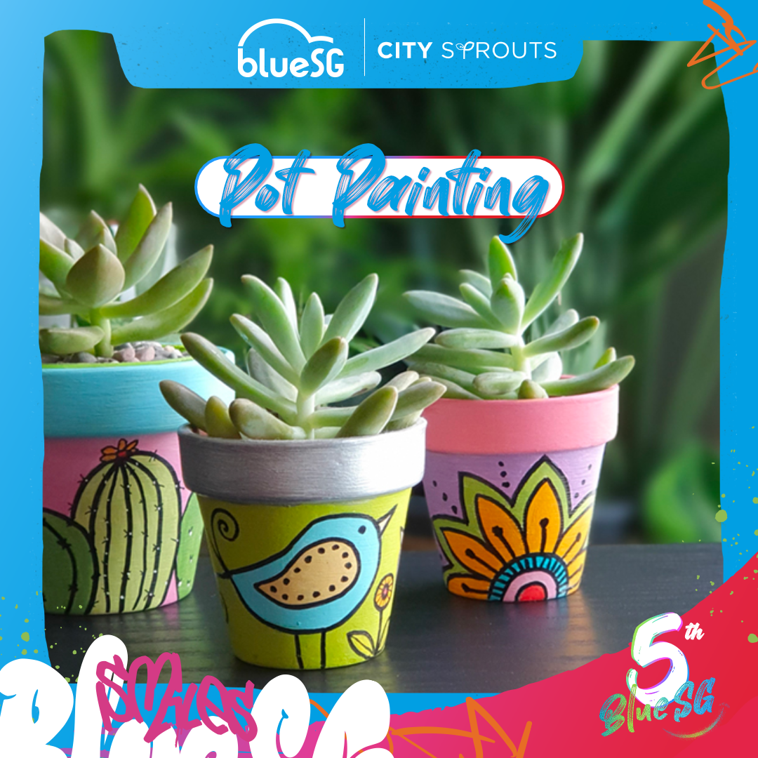 painted succulents Pot Painting & Succulents Planting Workshop – citysprouts