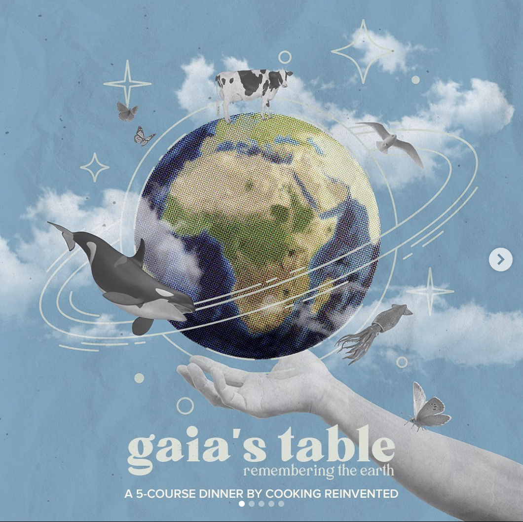 Gaia’s Table - Dine under the Stars