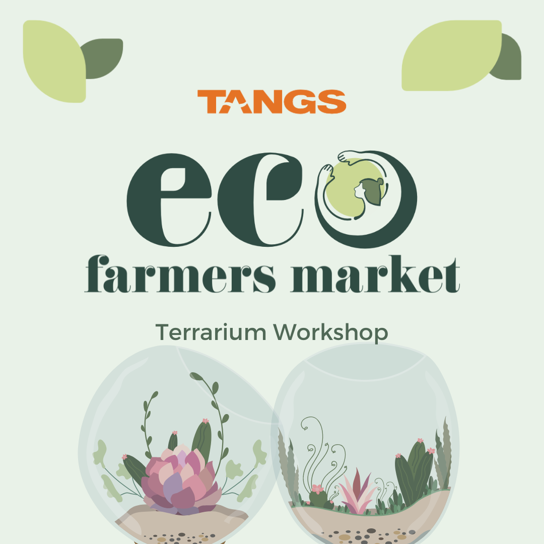 TANGS Eco Farmers Market Terrarium Workshop