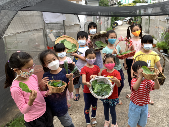 City Sprouts Our Food Cycle Workshop