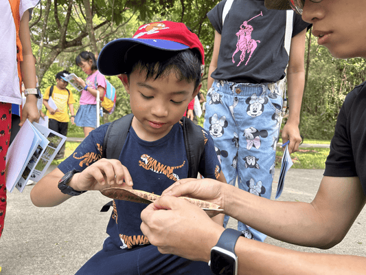 Kiddos Take The Plunge, Adventure Camps Galore!