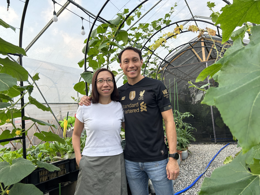 Seeking Tranquility Through A Greenhouse Retreat