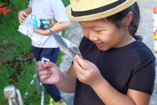 The Joy of Nature Play with Kids on a Sustainable Urban Farm