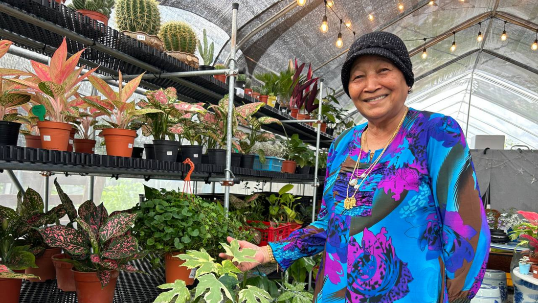 Firecracker Farmer Starts Her Farm Plot at 76 years old