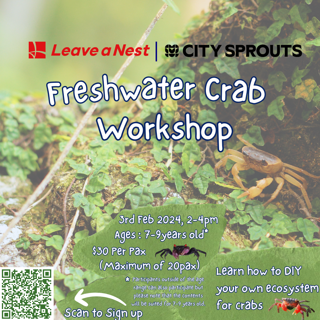 Freshwater Crab Workshop