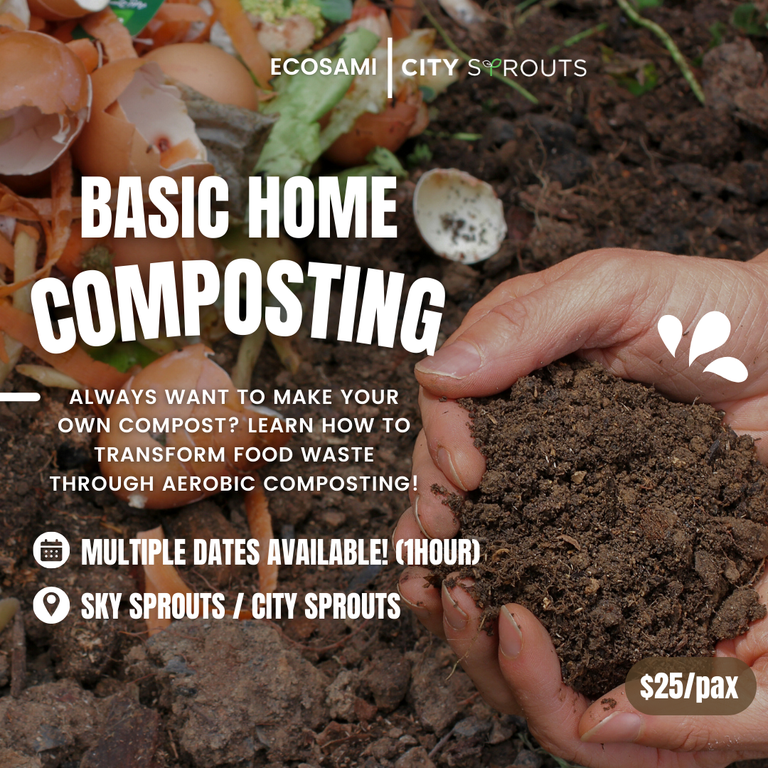 Home Composting for Beginners