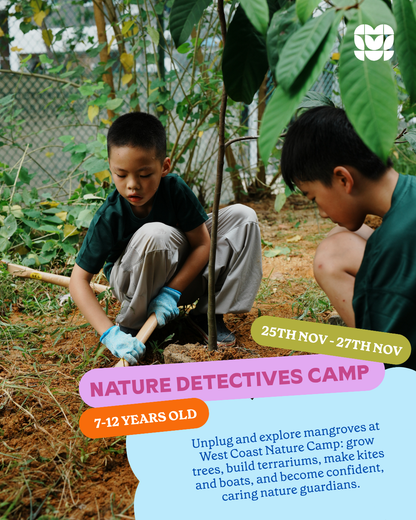 Nature Detectives Camp