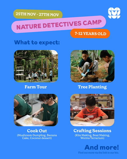 Nature Detectives Camp