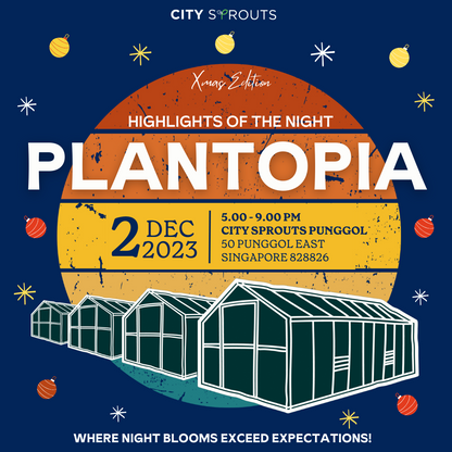 Punggol Plantopia: Christmas Edition