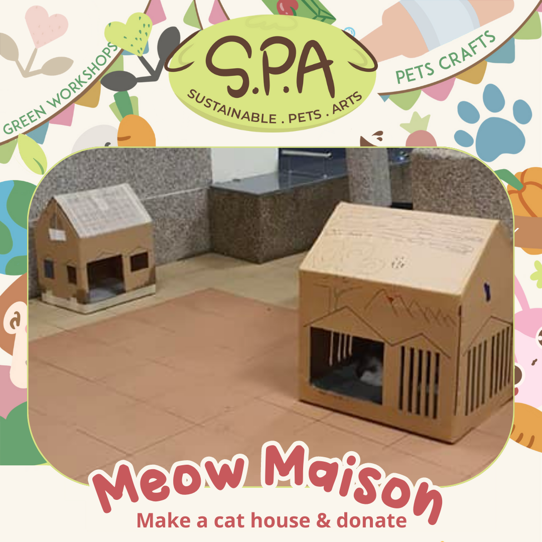 Meow Maison