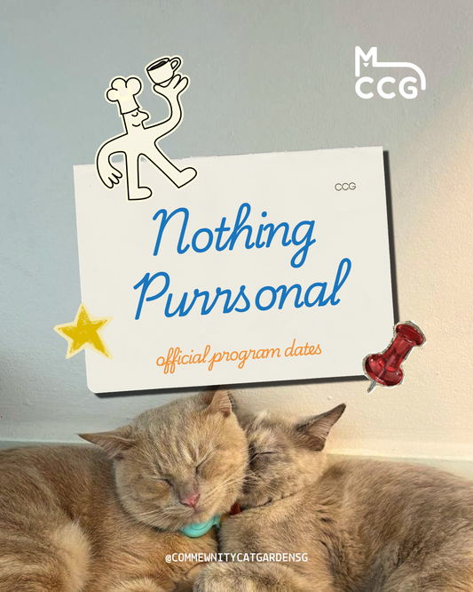 Nothing Purrsonal