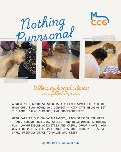 Nothing Purrsonal