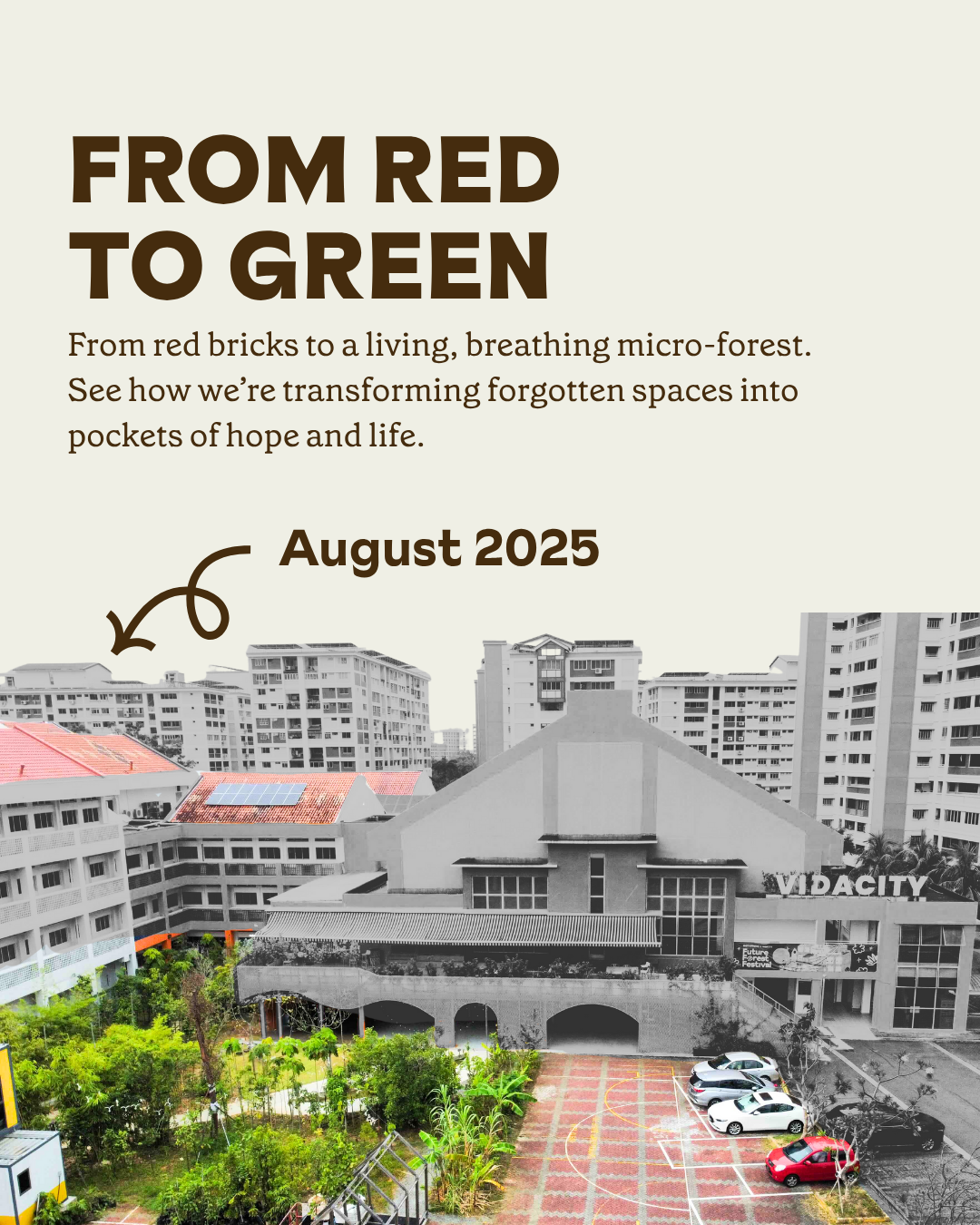 Future Forest Day : Tree Planting + Guided Tour