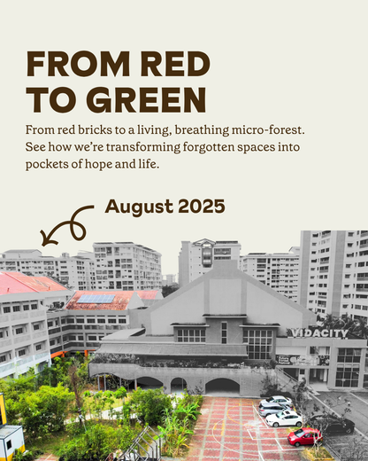 Future Forest Day : Tree Planting + Guided Tour