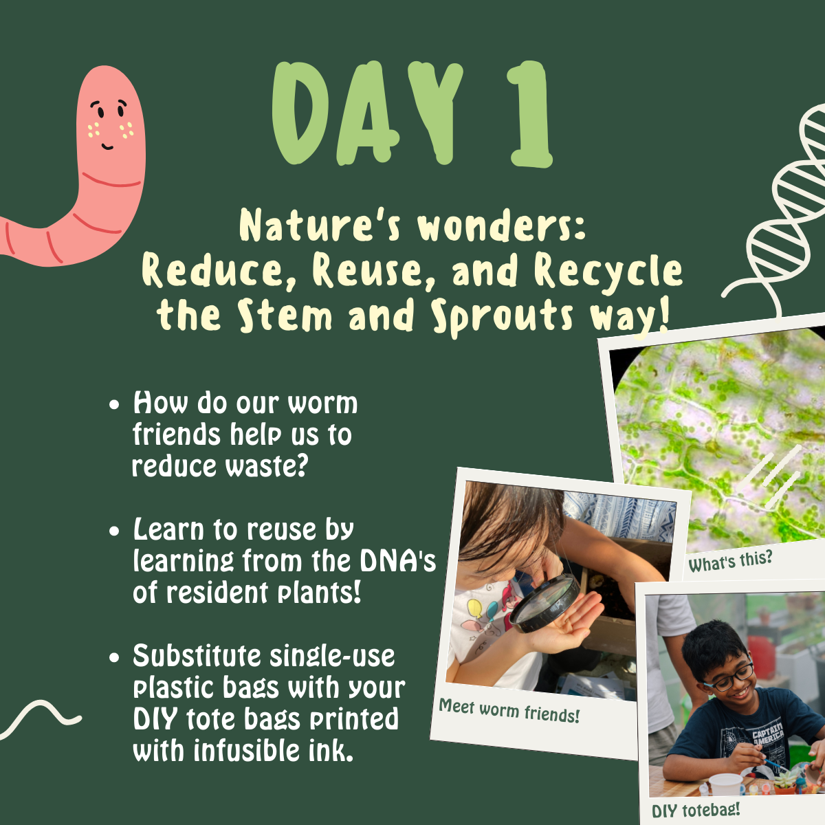 Stem and Sprout: 3-days Kids Camp