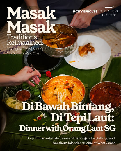 Di Bawah Bintang, Di Tepi Laut: A Dinner with Orang Laut SG