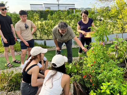 Herbs Pharmacy: Build Your Own Herb Garden!