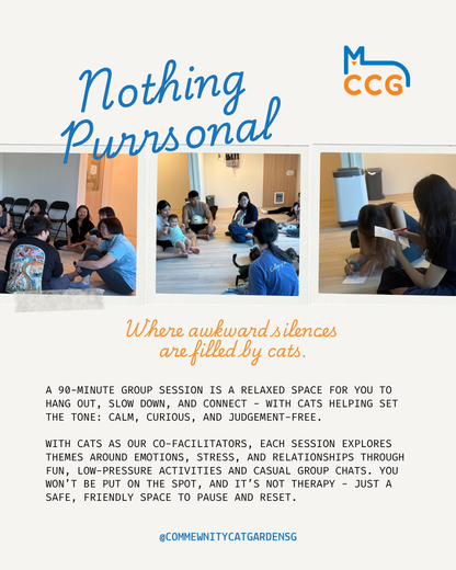 Nothing Purrsonal
