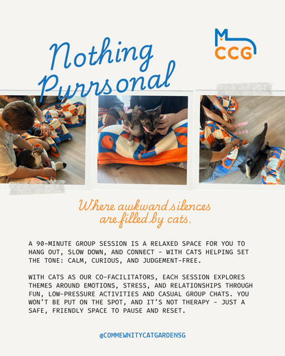 Nothing Purrsonal