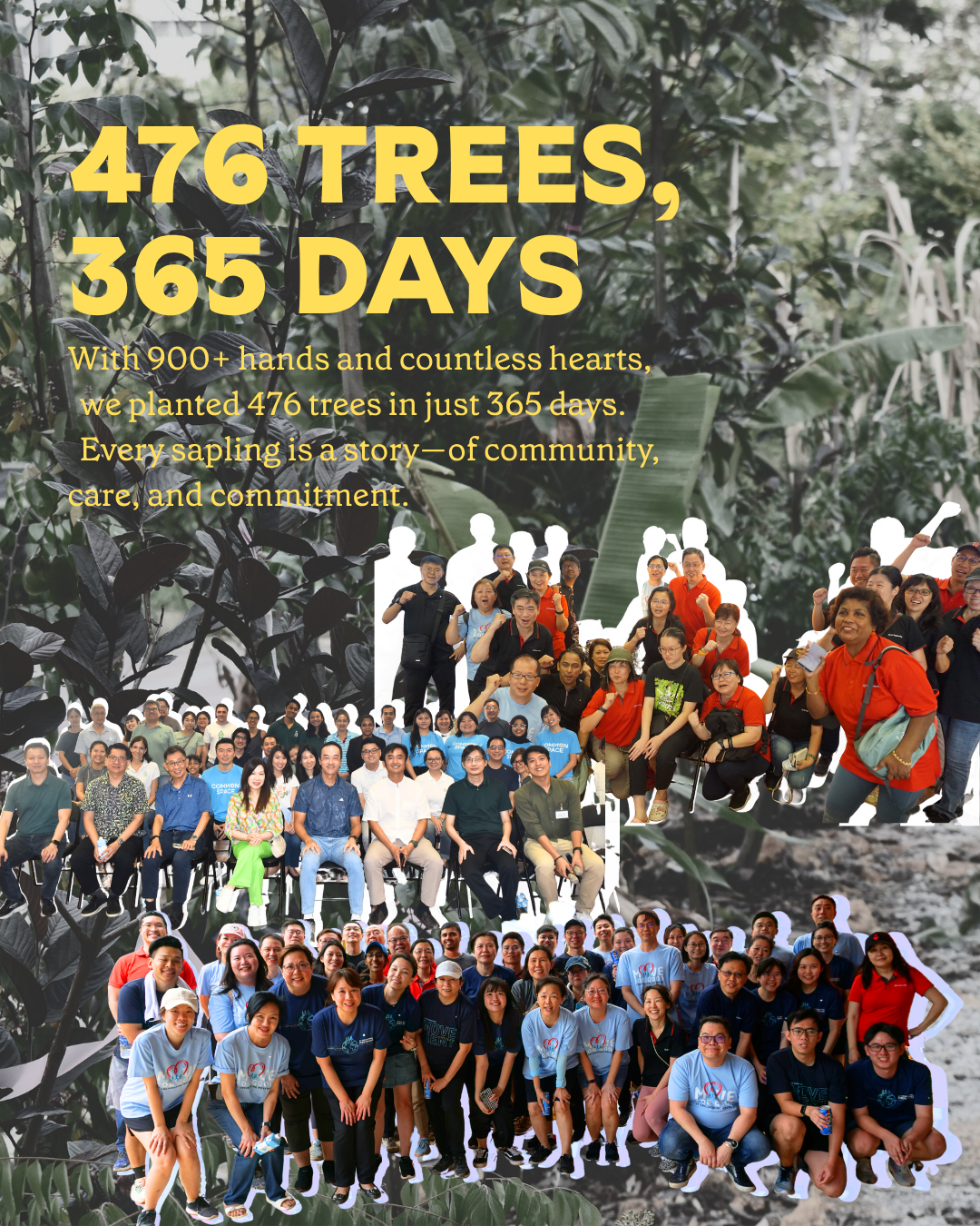 Future Forest Day : Tree Planting + Guided Tour