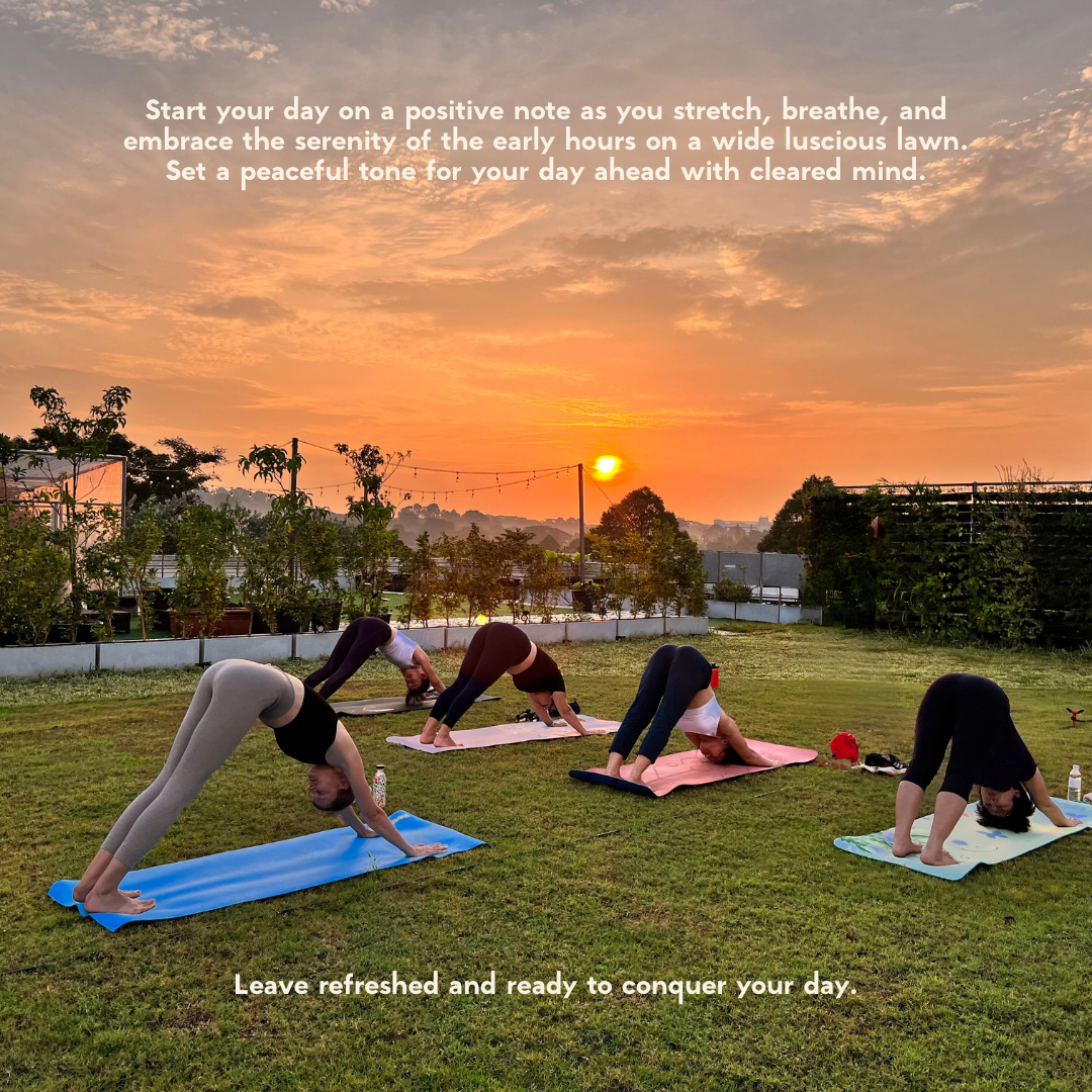Yoga Relax at Conscientiae every Thursday 7:30 pm – Sunshine Yoga
