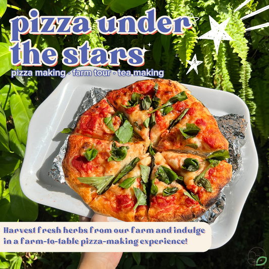 Pizza Under The Stars