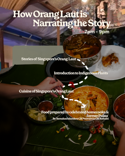 Di Bawah Bintang, Di Tepi Laut: A Dinner with Orang Laut SG