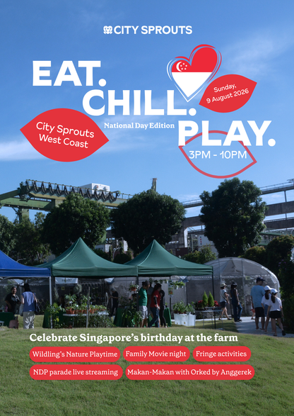 Eat. Chill. Play. @ West Coast: National Day Edition
