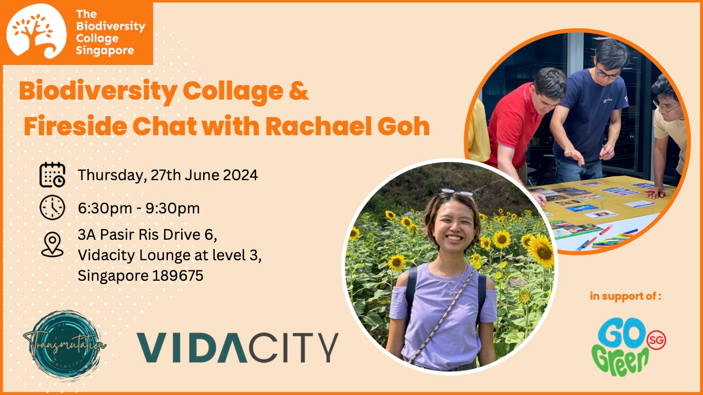 Biodiversity Collage & Fireside Chat with Rachael Goh @ Vidacity