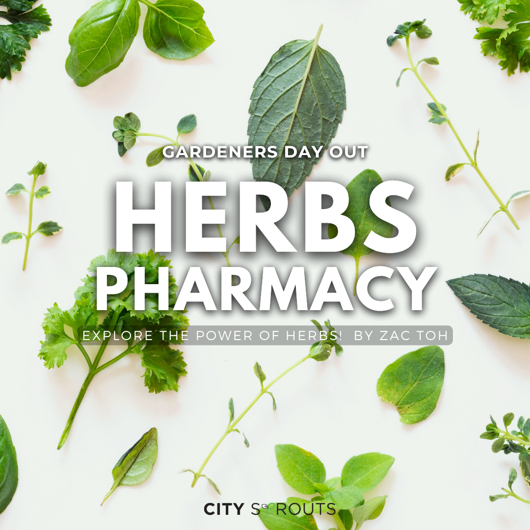 Herbs Pharmacy; Build your own Herb Garden! By Zac Toh